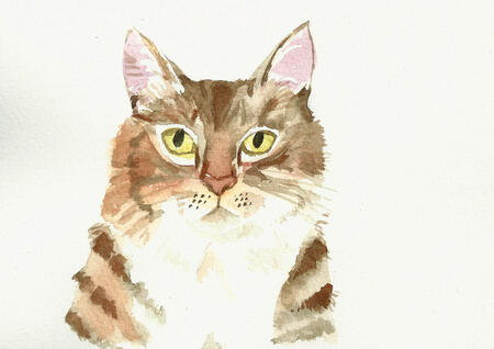 Tabby- cat painting 