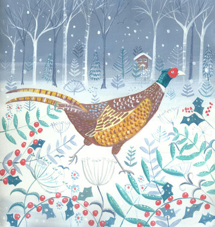 Pheasant in winter