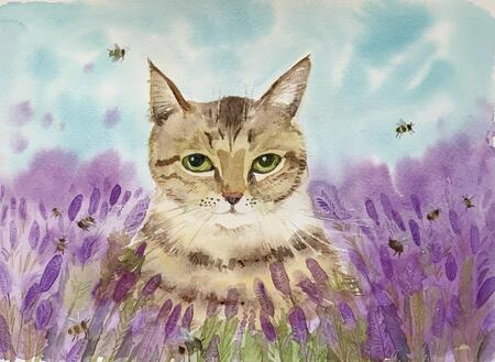 Tabby in Lavender 