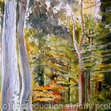 Autumn Woods in Sunlight