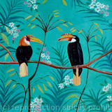 Indian hornbills Sold