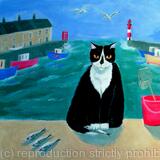 Harbour Cat