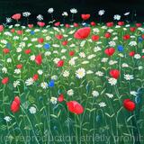 Poppies and daisies in St James Park