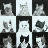 Black and white cats