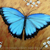 Blue Butterfly