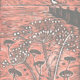 Seed heads by the Sea- coral