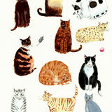 Collection of Cats