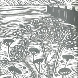 Seed heads by the Sea- monochrome