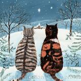 Cats in Snow