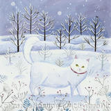 Snowy Cat