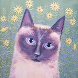 Siamese in the garden