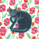 Black Velvet on a floral background