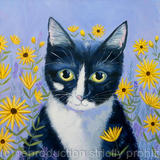 Kitty with Daisies