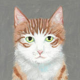 Ginger Face-cat painting 