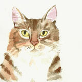 Tabby- cat painting 
