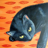 Black cat SOLD