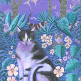 Night Mischief Fine Art Print