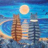 Cats with the Supermoon