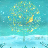 Partridge in a pear tree