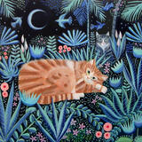 Nightime Adventures Fine Art print