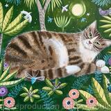 Garden tabby 