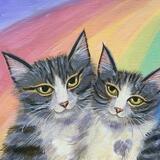 Rainbow lovecats 