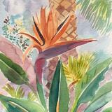 Bird of paradise flowers