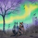 Cats with Northern lights