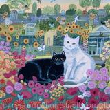 Summer allotment cats fine art print