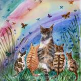 Tabby cats with rainbow