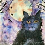 Halloween cat 