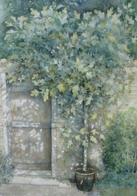 Burgundian Fig tree by Penny Hopkins