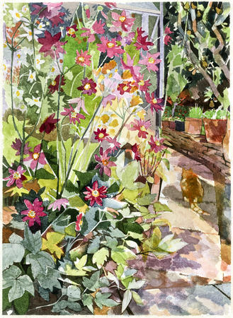 Anemonies and Tigger