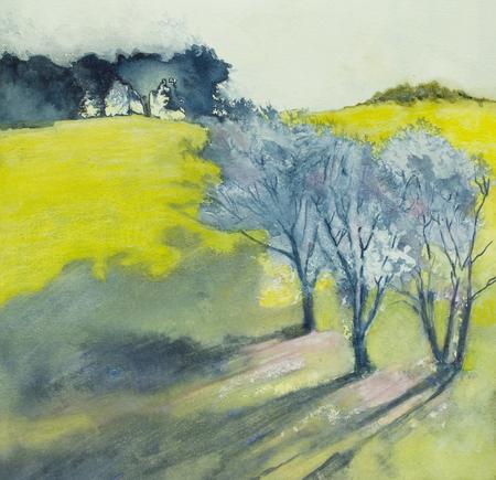 Shadows of the almond blossom