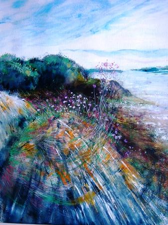 Wildflowers-Skibbereen