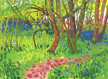Bluebelll woods
