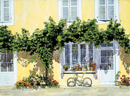 Yellow Bicycle, revisited