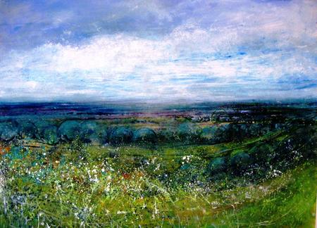 From Devils Dyke -Early Summer