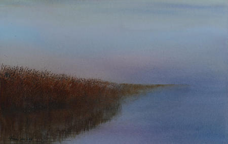 Water, Reed and Sky