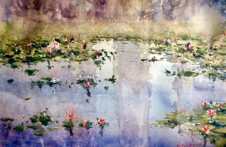 Waterlilies 