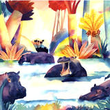 Hippos by Nick Orsborn RI