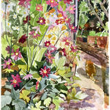 Anemonies and Tigger