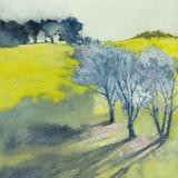 Shadows of the almond blossom