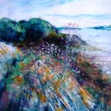 Wildflowers-Skibbereen