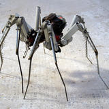 Cyber Spider 1