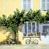 Yellow Bicycle, revisited