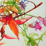 Summer into Autumn 27