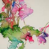 Summer into Autumn 17