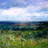 From Devils Dyke -Early Summer