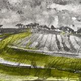 Tempest Fields, Firle